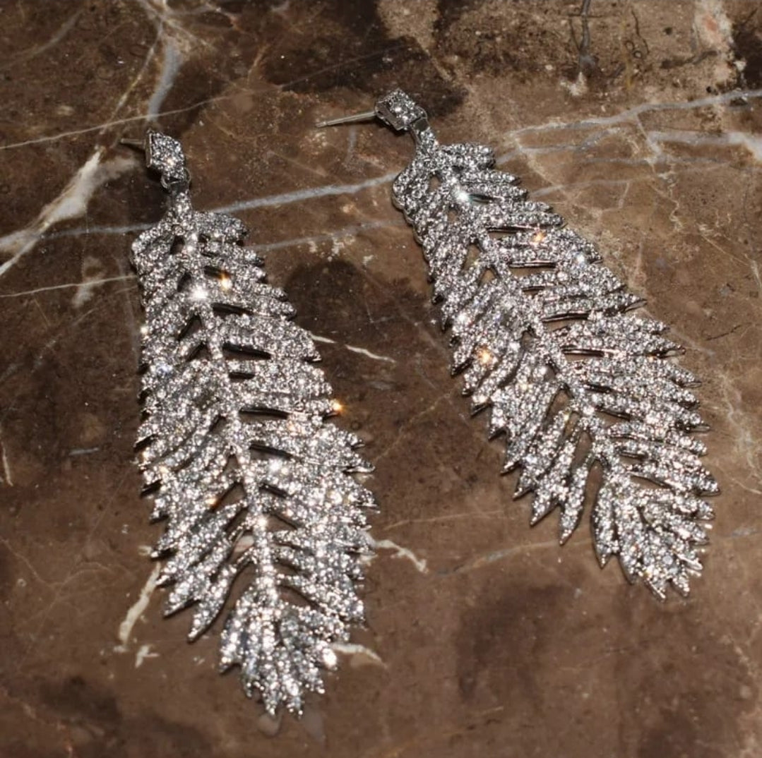 Aretes Largos plateados